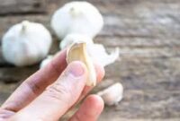 Viral di tiktiok bawang putih dimasukkan ke hidung dipercaya untuk obat flu