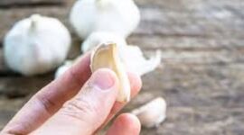 Viral di tiktiok bawang putih dimasukkan ke hidung dipercaya untuk obat flu