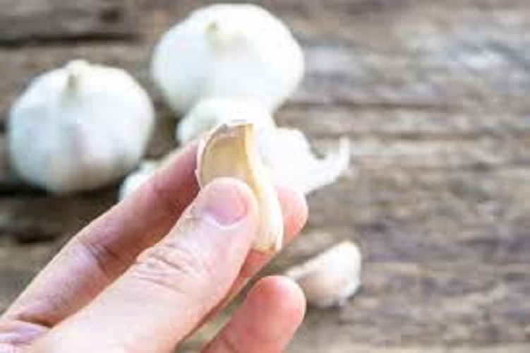 Viral di tiktiok bawang putih dimasukkan ke hidung dipercaya untuk obat flu