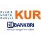 Cara daftar KUR secara Online