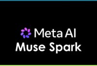 META AI MUSK SPARK
