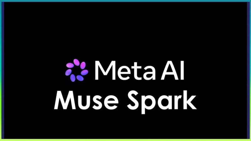 META AI MUSK SPARK