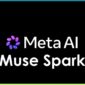 META AI MUSK SPARK
