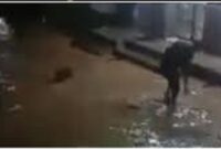 Kondisi banjir yang menerja lima desa tanjung pauh mudik