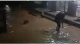 Kondisi banjir yang menerja lima desa tanjung pauh mudik