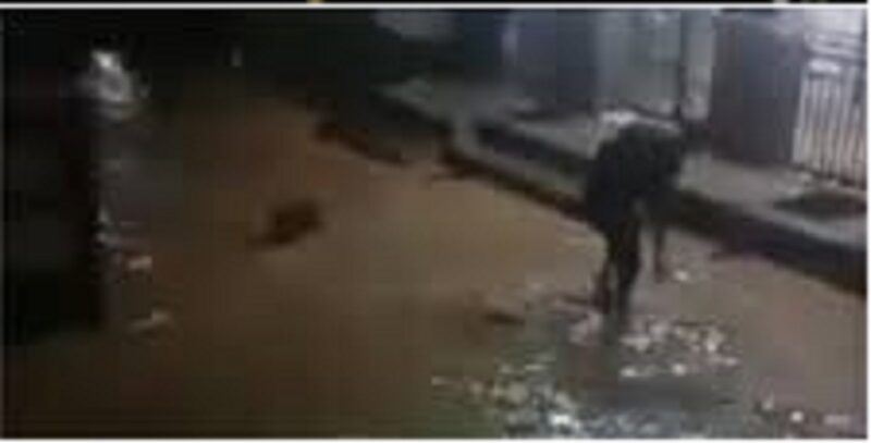Kondisi banjir yang menerja lima desa tanjung pauh mudik
