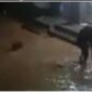 Kondisi banjir yang menerja lima desa tanjung pauh mudik