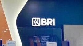Simulasi KUR BRI pinjaman Rp 50 Juta