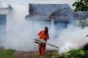 Cegah Lonjakan DBD di Musim Hujan
(Foto:  jatigono-kunir.lumajangkab) 