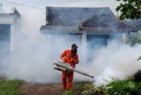 Cegah Lonjakan DBD di Musim Hujan
(Foto:  jatigono-kunir.lumajangkab) 