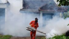 Cegah Lonjakan DBD di Musim Hujan
(Foto:  jatigono-kunir.lumajangkab) 