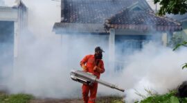 Cegah Lonjakan DBD di Musim Hujan
(Foto:  jatigono-kunir.lumajangkab) 