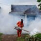 Cegah Lonjakan DBD di Musim Hujan
(Foto:  jatigono-kunir.lumajangkab) 