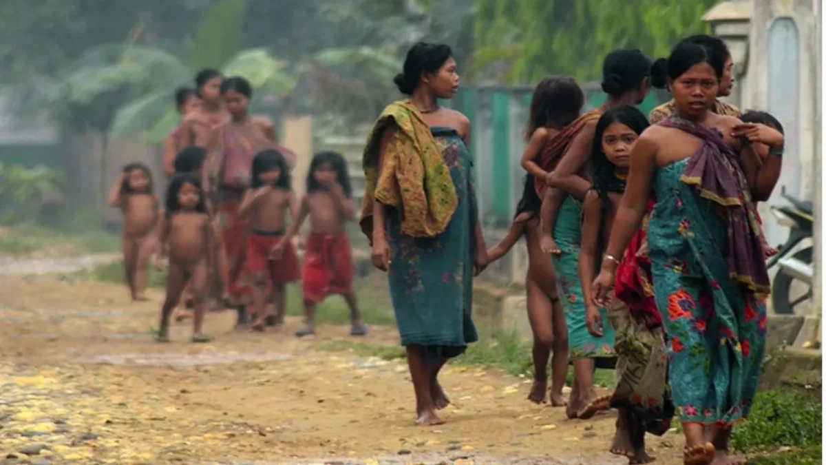 HIDUP DI PELUKAN RIMBA