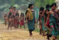 HIDUP DI PELUKAN RIMBA