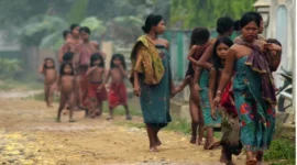 HIDUP DI PELUKAN RIMBA