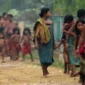 HIDUP DI PELUKAN RIMBA