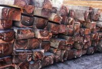 Kayu Eboni " Emas Hitam" Bernilai Ratusan Juta Per Meter kubik