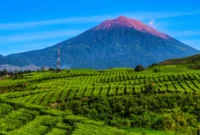Liburan ke Gunung Kerinci, Rasakan Indahnya Atap Sumatera  (foto: indonesia.travel)
