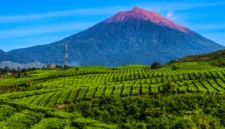 Liburan ke Gunung Kerinci, Rasakan Indahnya Atap Sumatera  (foto: indonesia.travel)