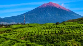 Liburan ke Gunung Kerinci, Rasakan Indahnya Atap Sumatera  (foto: indonesia.travel)