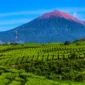 Liburan ke Gunung Kerinci, Rasakan Indahnya Atap Sumatera  (foto: indonesia.travel)