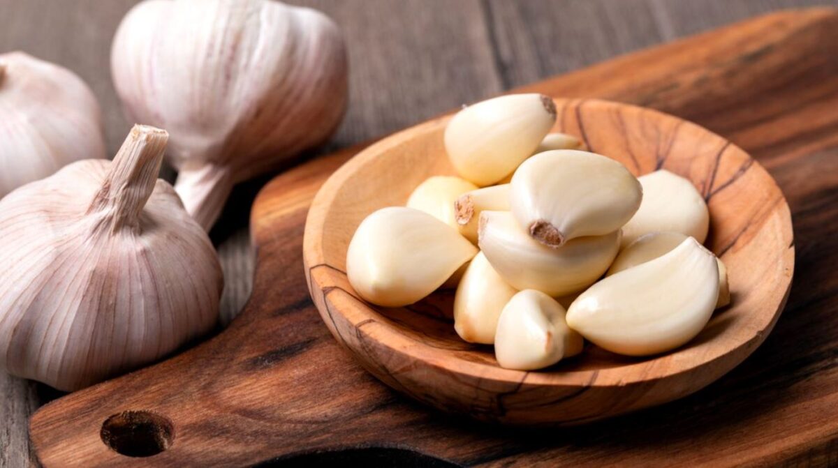 Bawang putih dikenal luas sebagai bumbu dapur(Foto:Hobi Ternak)