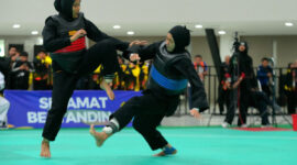 Pencak Silat: Olahraga Bela Diri Asli Indonesia yang Mendunia(Foto:Beritajakarta)