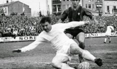 Ferenc Puskás: “Si Kuda Galak” Legenda Sepak Bola Dunia
