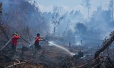 Karhutla di Berbagai Daerah Jadi Ancaman, BNPB Imbau Masyarakat Waspada