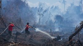 Karhutla di Berbagai Daerah Jadi Ancaman, BNPB Imbau Masyarakat Waspada( Foto: Info Publik)