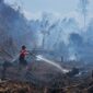 Karhutla di Berbagai Daerah Jadi Ancaman, BNPB Imbau Masyarakat Waspada( Foto: Info Publik)