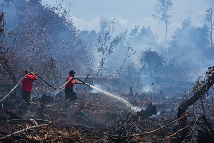 Karhutla di Berbagai Daerah Jadi Ancaman, BNPB Imbau Masyarakat Waspada( Foto: Info Publik)