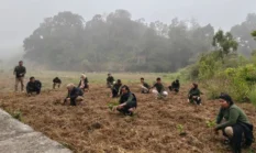 HUT RRI ke-81, Crew SP RRI Sungai Penuh Tanam 81 Pohon di Sungai Penuh dan Kerinci