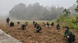 HUT RRI ke-81, Crew SP RRI Sungai Penuh Tanam 81 Pohon di Sungai Penuh dan Kerinci
(Foto: Dok.Mahmud))
