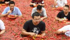 Festival Cabai Merah Goesan 2026 Resmi Dibuka, Ribuan Wisatawan Padati Korea Selatan (Foto:Tribunnews)