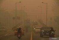 KALIMANTAN TENGAH DISELIMUTI KABUT ASAP (Foto:ANTARA News)