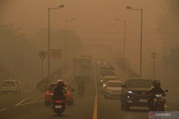 KALIMANTAN TENGAH DISELIMUTI KABUT ASAP (Foto:ANTARA News)