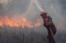 BNPB Catat 18.421 Hektare Lahan Terbakar di Sumatera dan Kalimantan (Foto: CNN Indonesia)