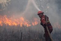 BNPB Catat 18.421 Hektare Lahan Terbakar di Sumatera dan Kalimantan (Foto: CNN Indonesia)