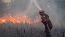 BNPB Catat 18.421 Hektare Lahan Terbakar di Sumatera dan Kalimantan (Foto: CNN Indonesia)